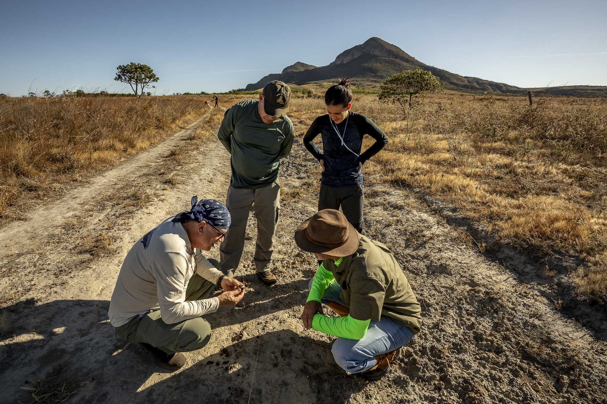 Imagem Restauração Ecológica PA4--14 da expedição de expedicoes/restauracao_25